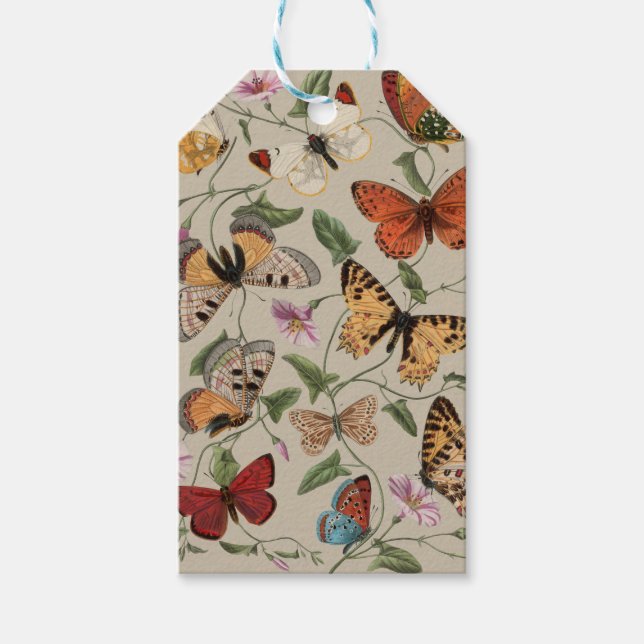 Étiquettes-cadeau Collection de la papillon Moth Nature Dessin (Devant)