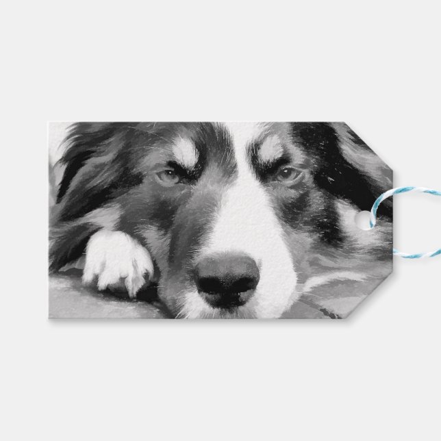 ÉTIQUETTES-CADEAU COLLIE FRONTALIÈRE (Devant (Horizontal))