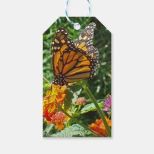Étiquettes-cadeau Coloré Vibrant Monarque orange Papillon Fleur