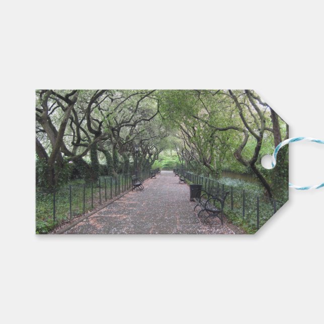 Étiquettes-cadeau Conservatory Garden Central Park NYC Photographie (Devant (Horizontal))
