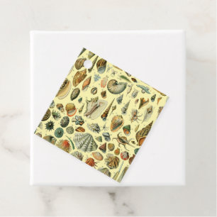 Étiquettes Cadeau Coquillages de coquillages Mollusk Clam Élégant Ar
