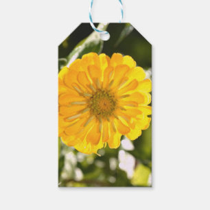 Étiquettes-cadeau Cosmo jaune, fleur jaune, fleurs jaunes