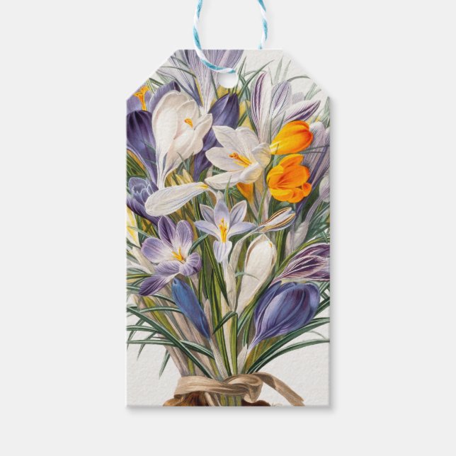 Étiquettes-cadeau Crocus Spring Flower Botanique Floral Art (Devant)