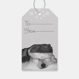 Étiquettes-cadeau Cute akita à santa chapeau dormant chien de Noël