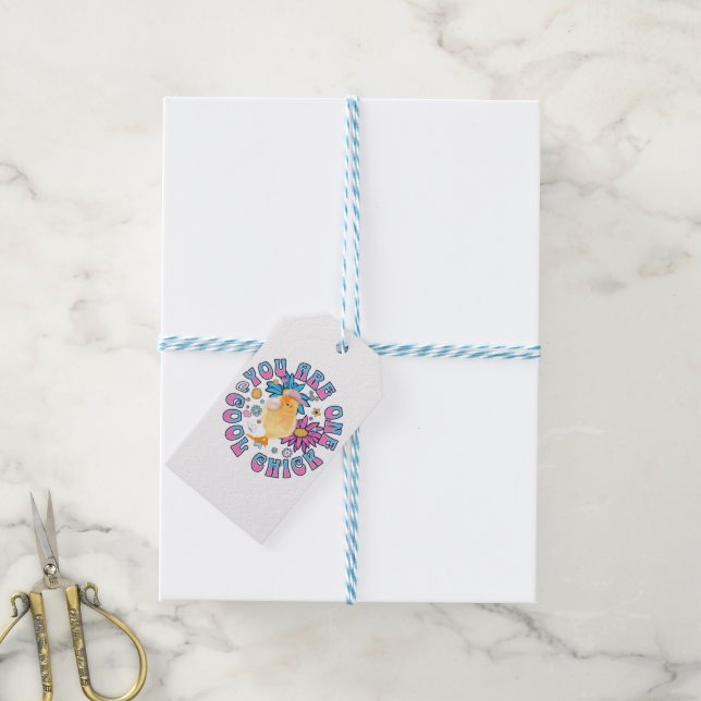Étiquettes-cadeau Cute Chick - Vous êtes un Cool Chick (Avec de laficelle)
