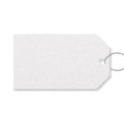 Cute Christmas Gnome