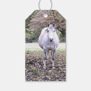 ÉTIQUETTES-CADEAU CUTE HORSE
