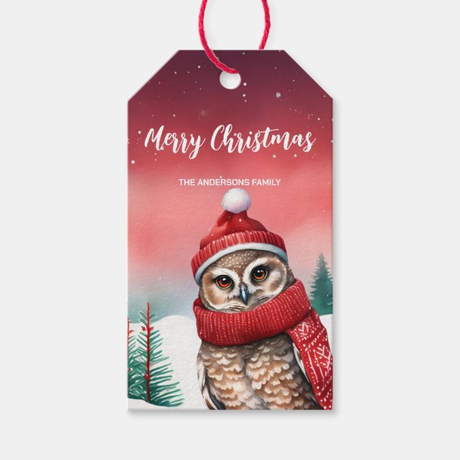 Étiquettes-cadeau Cute Owbird Père Noël Noël fête des enfants de nei (Devant)