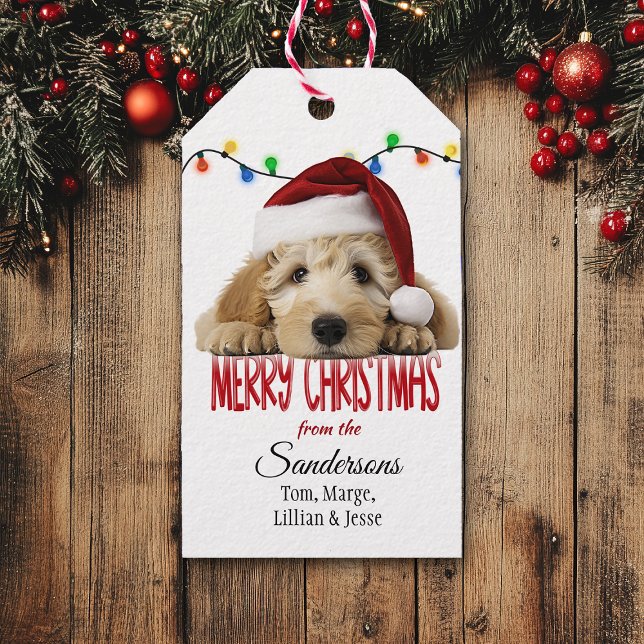 Étiquettes-cadeau Cute Santa Goldendoodle Christmas (Créateur téléchargé)