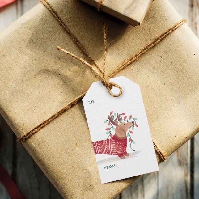 Étiquettes-cadeau Dachshund Chien de Noël Chandail douillet avec lum (Dachshund Christmas Dog Cozy Sweater With Lights Gift Tags)
