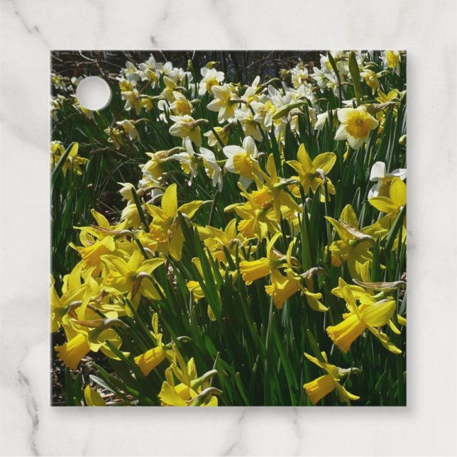 Étiquettes Cadeau Daffodiles jaunes et blancs Fleurs de printemps (Devant)