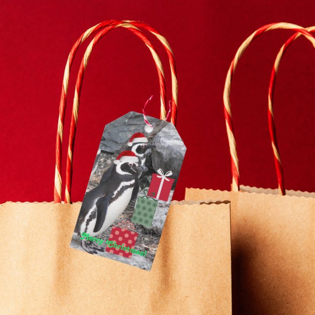 Étiquettes-cadeau Des pingouins portant des chapeaux rouges (In Situ)