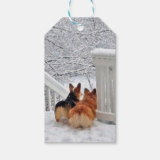 Étiquettes-cadeau Deux Corgis en hiver