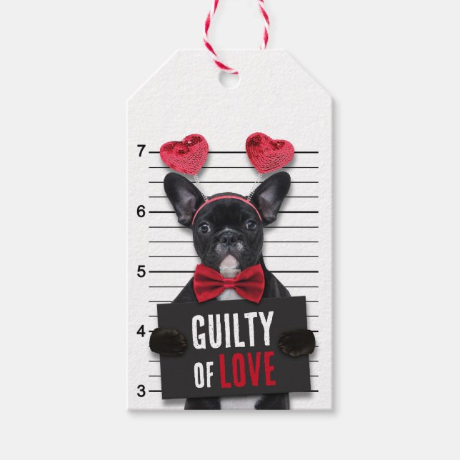 Étiquettes-cadeau Drôle Saint Valentin Mugshot Coupable Aimer Chien (Devant)