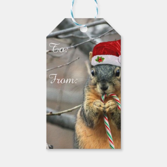 Étiquettes-cadeau Écureuil de Noël (Devant)