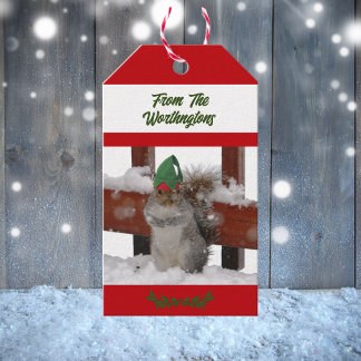 Étiquettes-cadeau Écureuil en chapeau vert enneigé rouge et blanc
