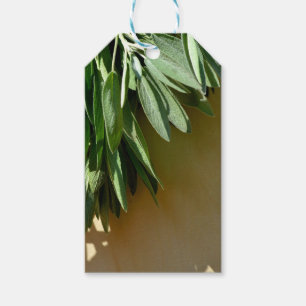 Étiquettes-cadeau Élégante plante verte feuille herbes fraîches coup