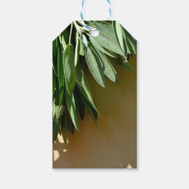 Étiquettes-cadeau Élégante plante verte feuille herbes fraîches coup (Devant)