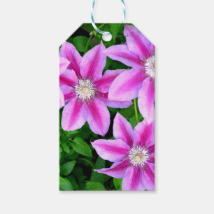 Étiquettes-cadeau Élégante végétation boho rose