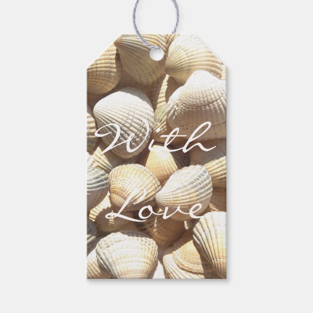 Étiquettes-cadeau Exotic Tropical Sea Shell Summer Beach Photographi (Devant)