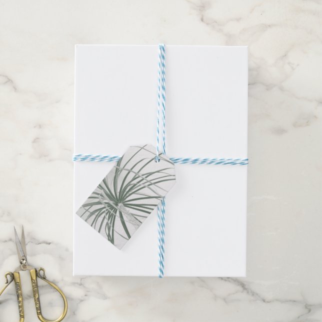 Étiquettes-cadeau Feuillage de palmier de Ponytail sur blanc (Avec de laficelle)