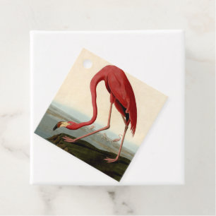 Étiquettes Cadeau Flamant rose américain d'Audubon