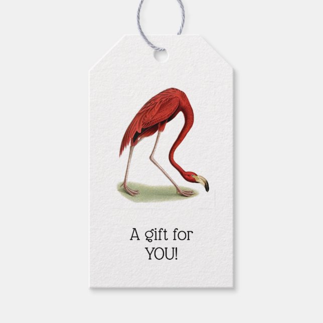 Étiquettes-cadeau Flamant rose rose vintage #1 (Devant)