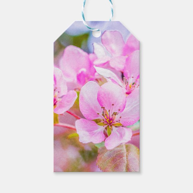 Étiquettes-cadeau Fleur de pomme rose (Devant)