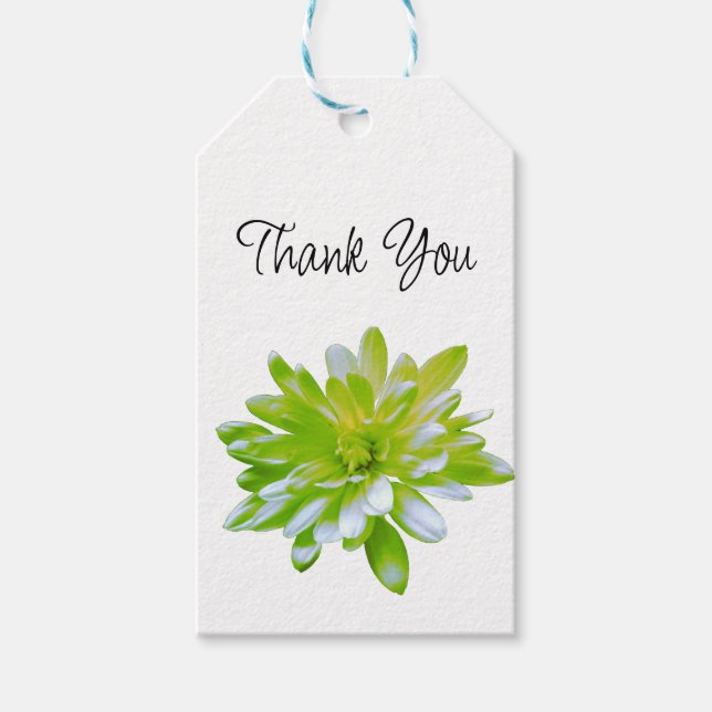 Étiquettes-cadeau Fleur vert vert vert vert pâle marguerite (Devant)