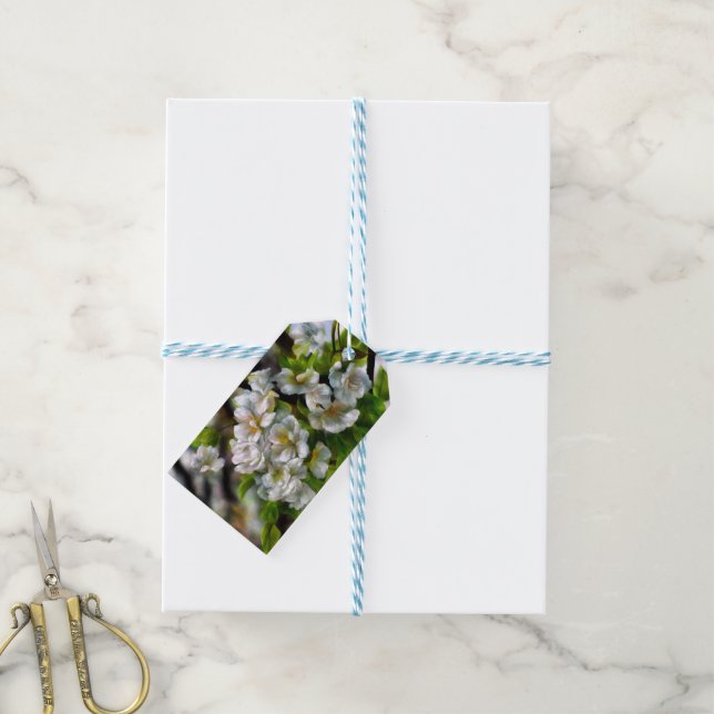 Étiquettes-cadeau Fleurs d'Apple (Avec de laficelle)