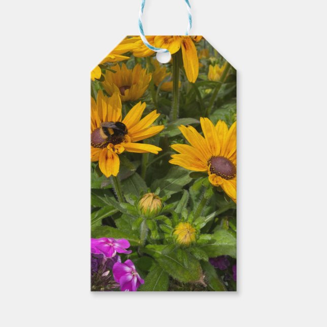 Étiquettes-cadeau Fleurs de Rudbeckia jaune Pink Phlox et abeille (Devant)