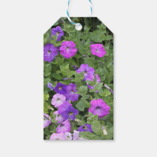 Étiquettes-cadeau Fleurs printanières Jardin mauve Pétunia Photo f
