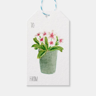 Étiquettes-cadeau Fleurs roses en pot gris