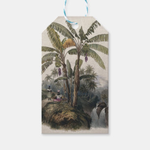Étiquettes-cadeau Forêt de bananiers tropicaux antiques Bota vinta