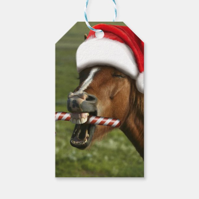 Étiquettes-cadeau Funny Christmas horse with Santa hat smiling (Devant)