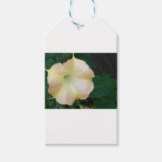 Étiquettes-cadeau Golden Angels trumpet flower gros