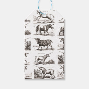 Étiquettes-cadeau Gravure de licorne antique spécimen de zoologie vi