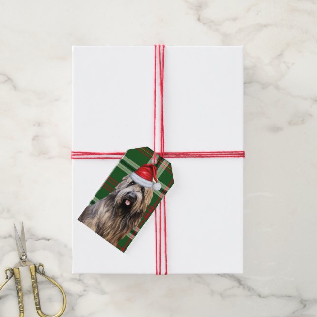 Étiquettes-cadeau Green Holiday Plaid Briard Berger Chien Noël (Avec de la ficelle)