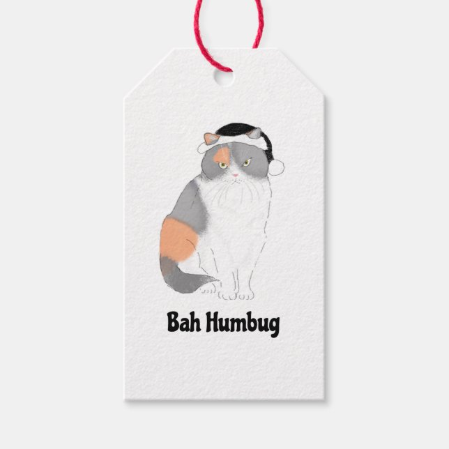 Étiquettes-cadeau Grumpy Katie bah humbug (Devant)