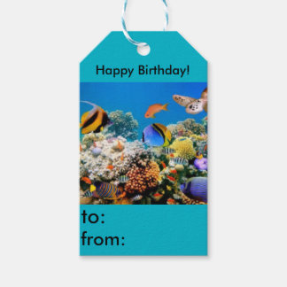 Étiquettes-cadeau Happy Birthday fish aquarium tag cadeau