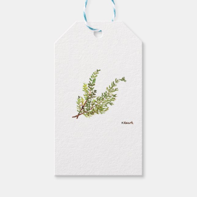 Étiquettes-cadeau Herbe de romarin Rosemary aquarelle (Devant)