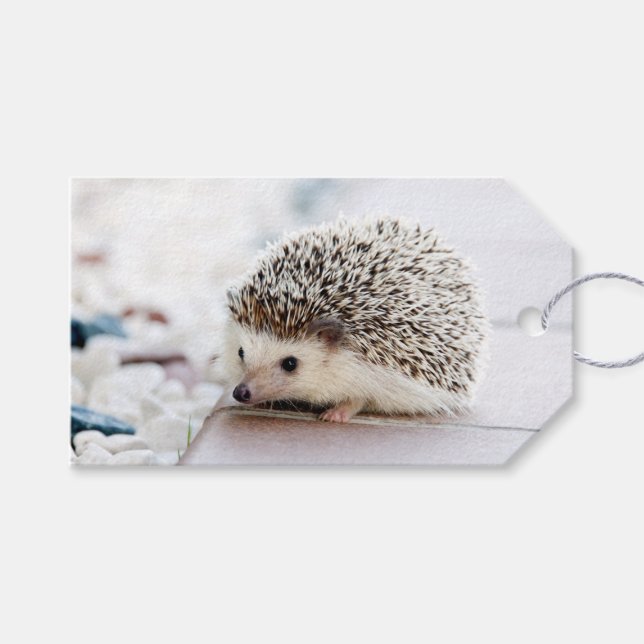Étiquettes-cadeau Hérisson bébé (Devant (Horizontal))