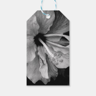 Étiquettes-cadeau Hibiscus