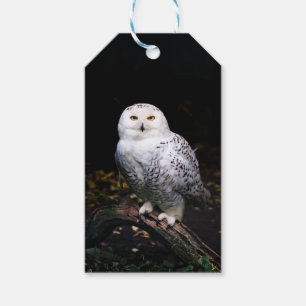 Étiquettes-cadeau Hibou des neiges majestueux d'hiver