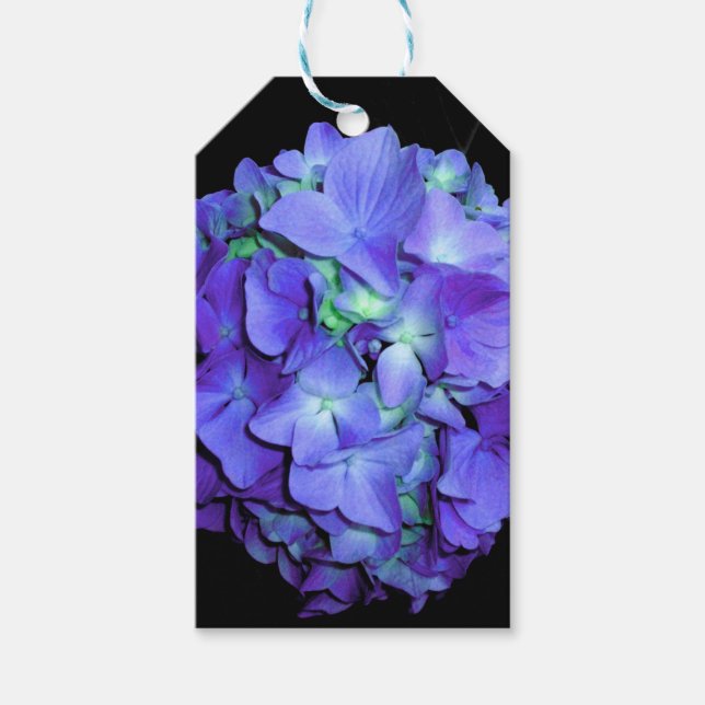 Étiquettes-cadeau Hydrangée turquoise fleurie pourpre (Devant)