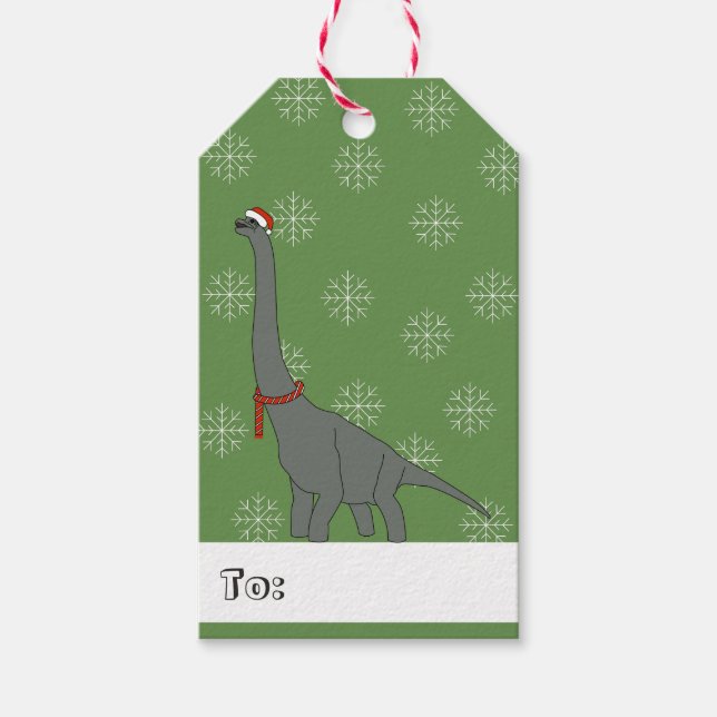 Étiquettes-cadeau illusima Snowflakes Dinosaures de Noël à long cou (Devant)