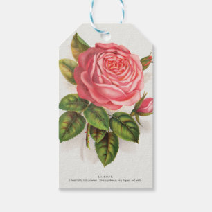 Étiquettes-cadeau Illustration Florale Rose Rose Antique Cottagecore