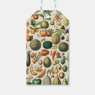 Étiquettes-cadeau Illustration scientifique végétale des fruits