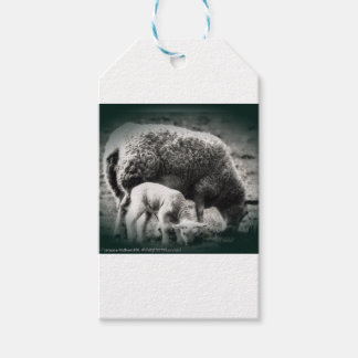 Étiquettes-cadeau Image mono mouton et agneau