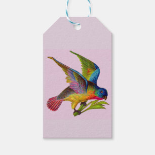Étiquettes-cadeau imprimé d'oiseau victorien ultra coloré